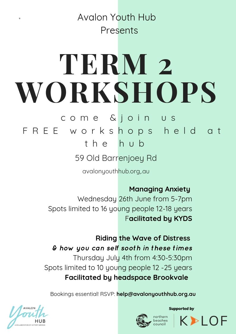 AYH Term 2 Workshops
